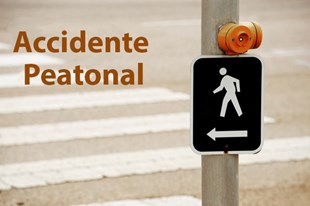 Erick Molina, 6, y Jorge Molina, 61, fueron tristemente atropellados fatalmente en un accidente peatonal en la ciudad de Garden Grove, sobre las calles Garden Grove Blvd y Benton Street el sábado 12 de octubre según las autoridades.